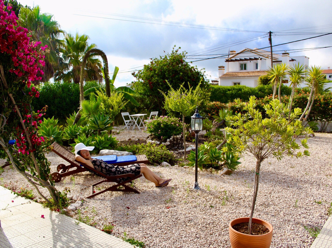 Onda Vicentina主图