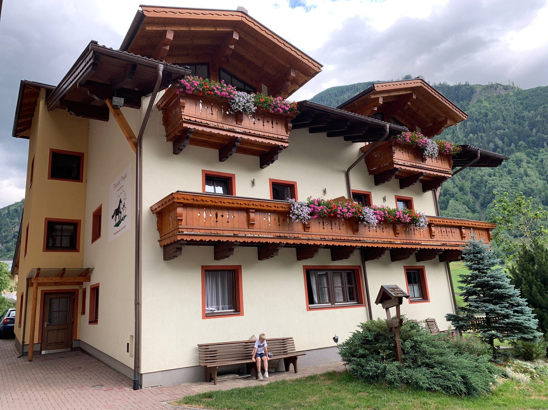 Feriendorf Ponyhof主图