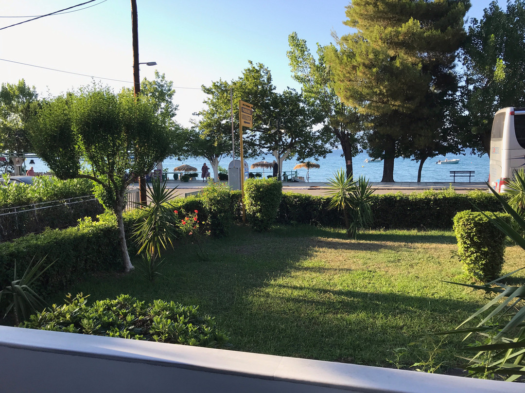 Hotel Violetta主图