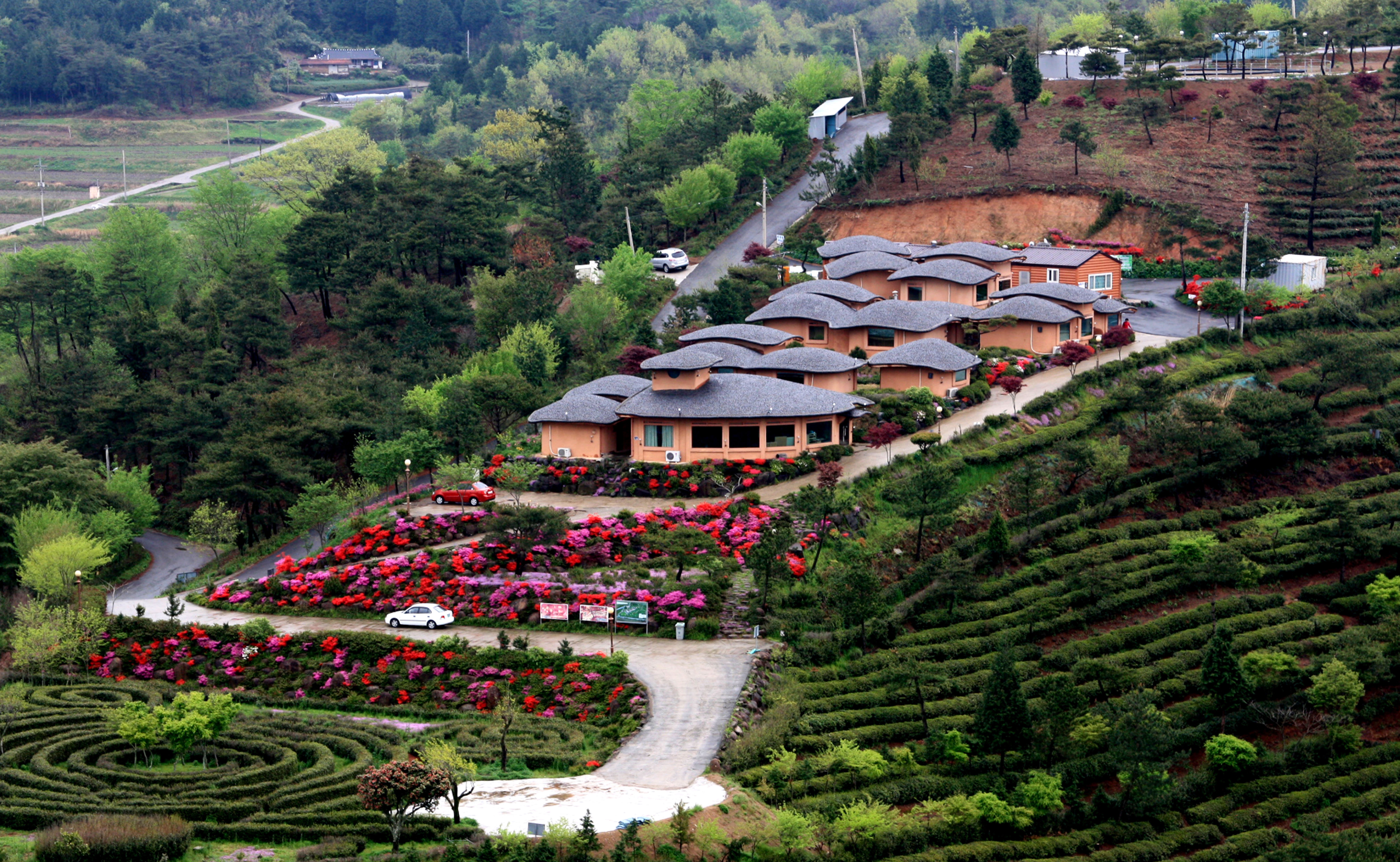 Golmangtae Pension-官方