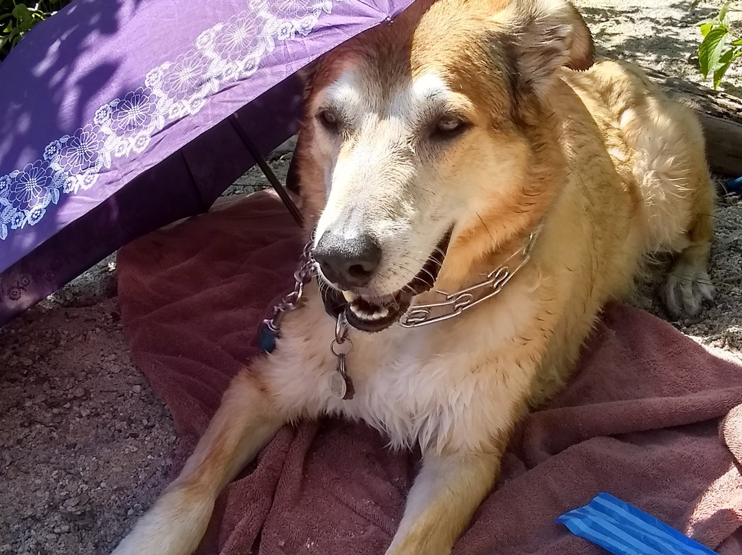 Ainsworth Motel主图