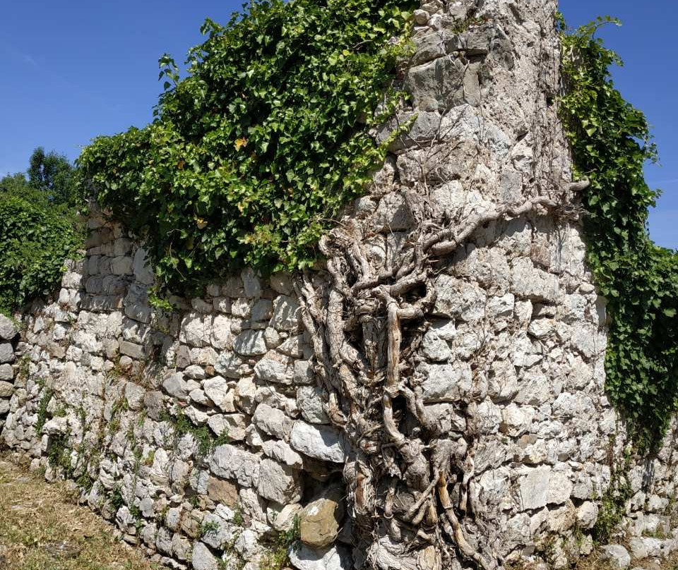 Old Fortress, Stari Bar-Bar必去景点