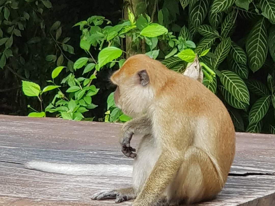 JusInn Leisure Escape主图