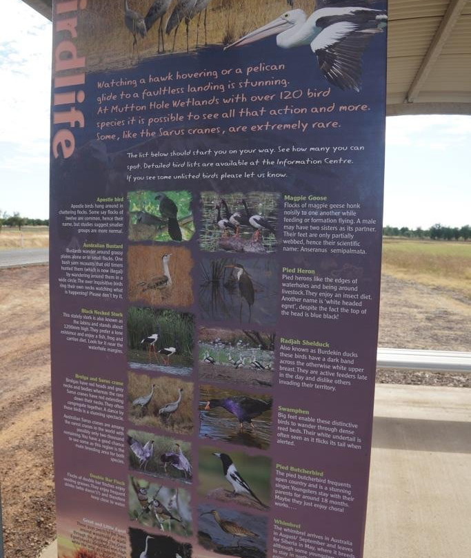 Mutton Hole Wetlands Conservation Park-Normanton必去景点