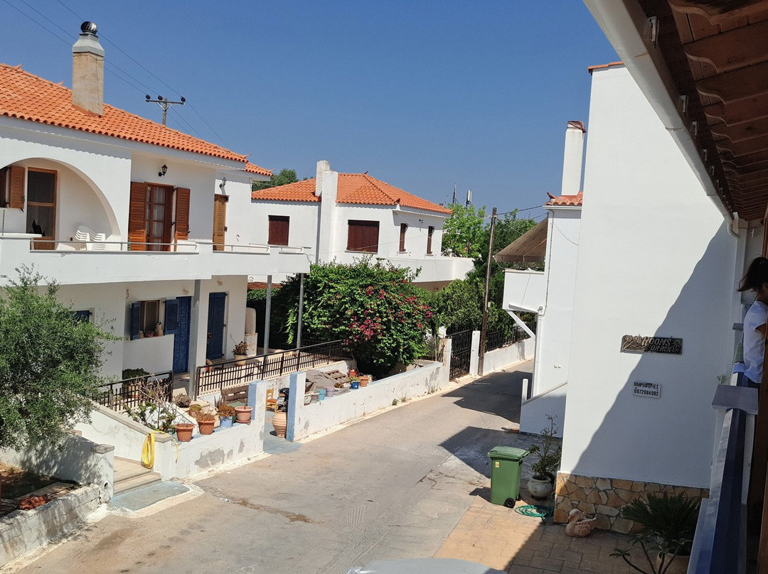 Studio Nikolos主图