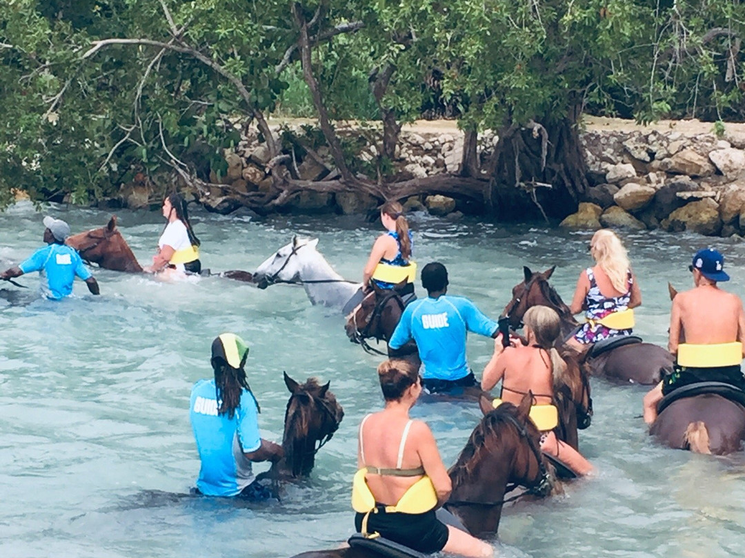 Cornwall Beach-蒙特戈贝必去景点