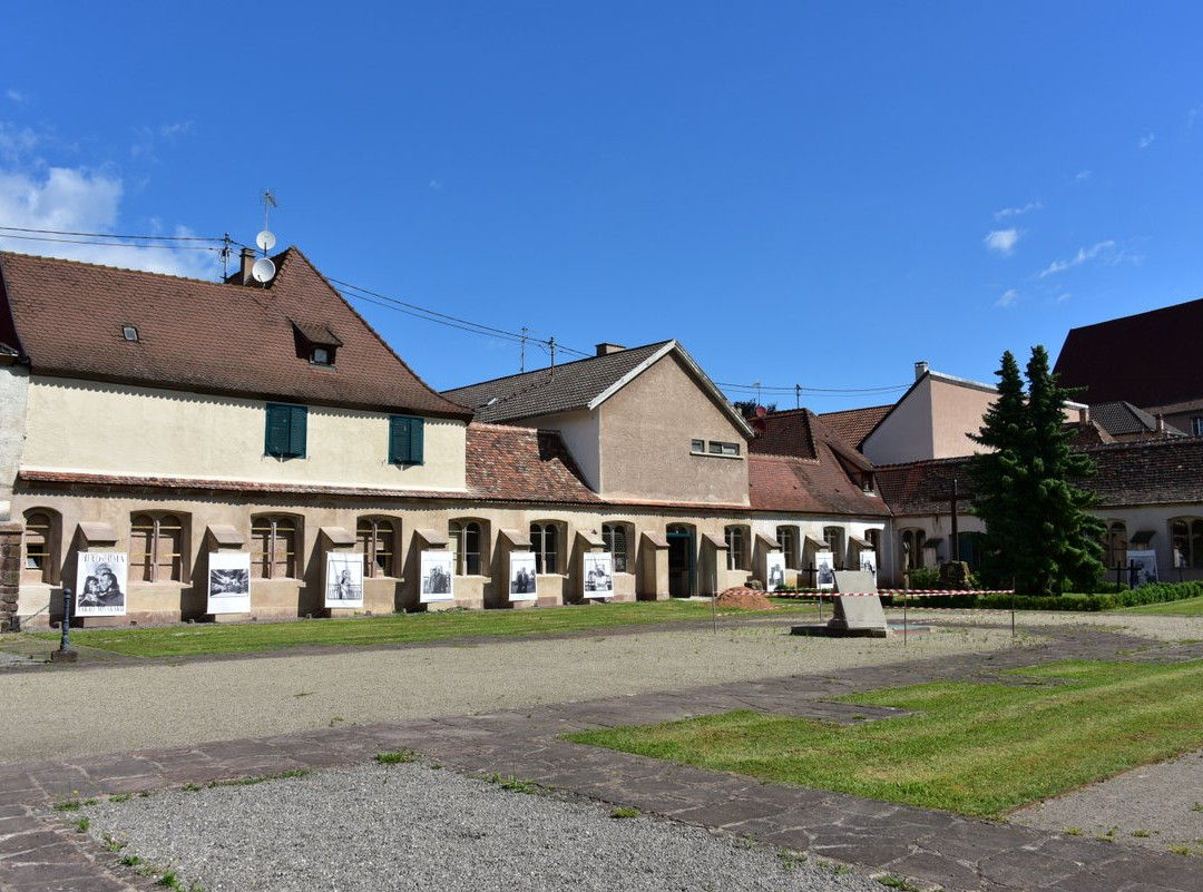 Charterhouse Museum-Molsheim必去景点