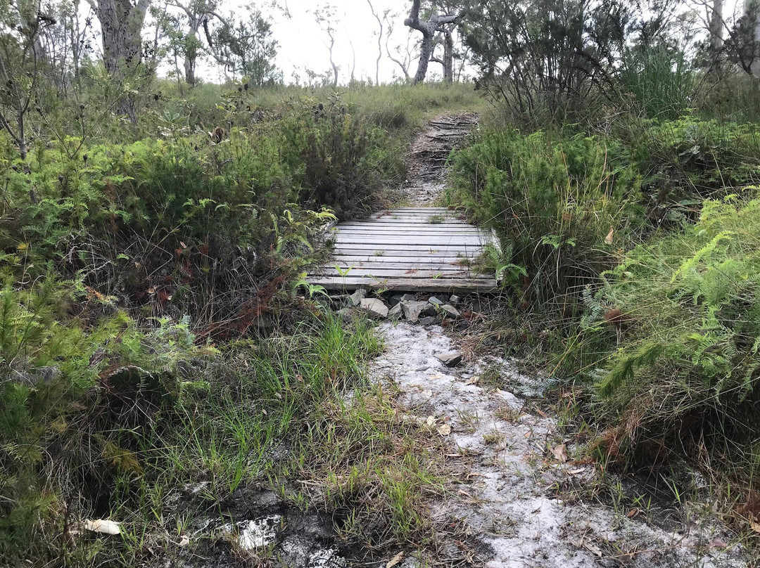 Cooloola Wilderness Trail景点图片