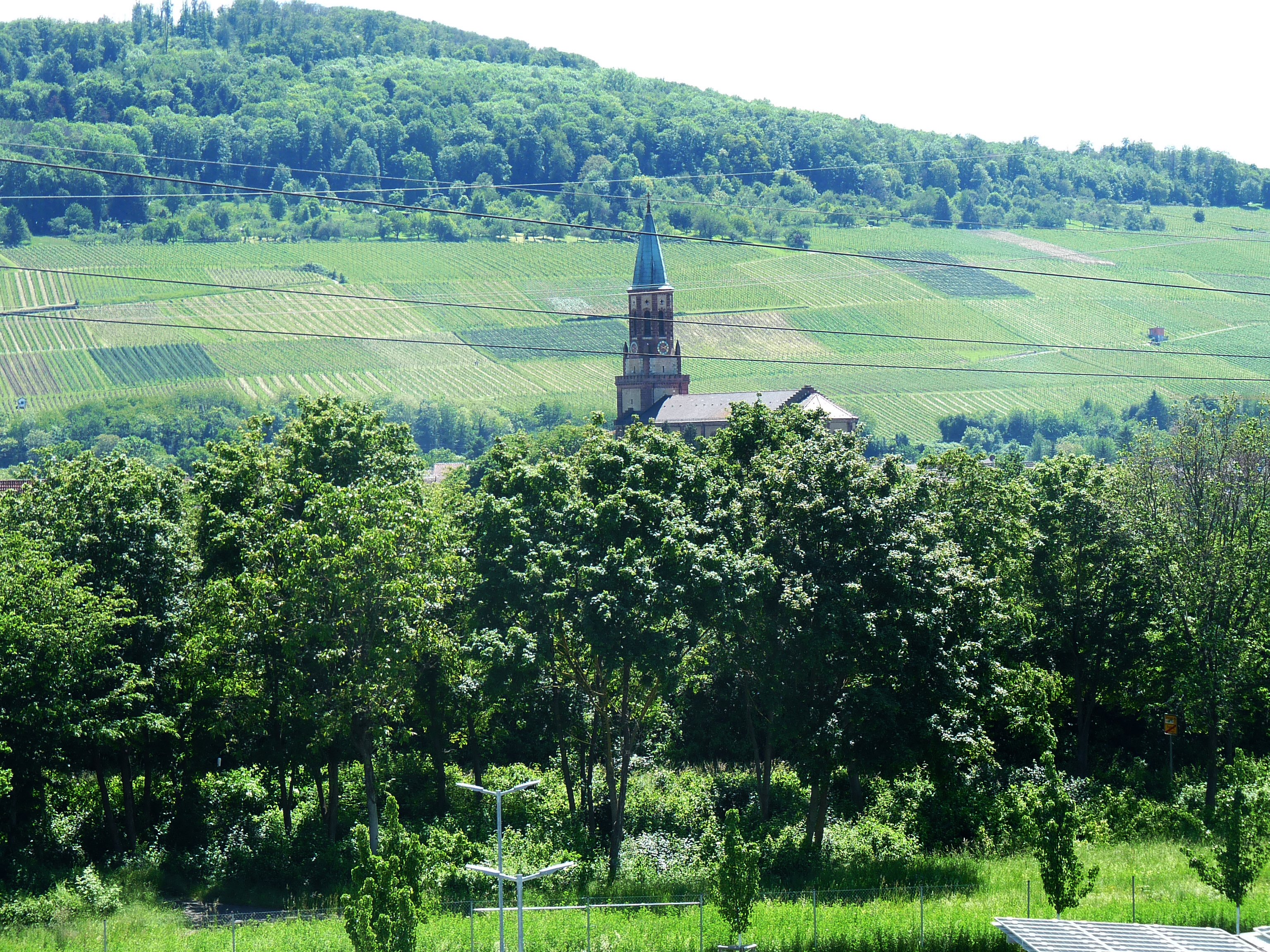 B&B Hotel Freiburg-Süd-酒店景观