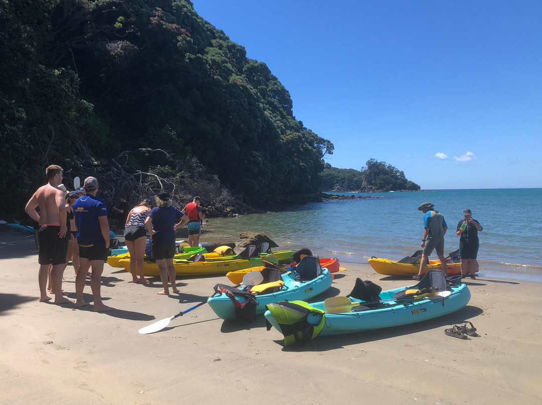 Pedal and Paddle Whangamata景点图片