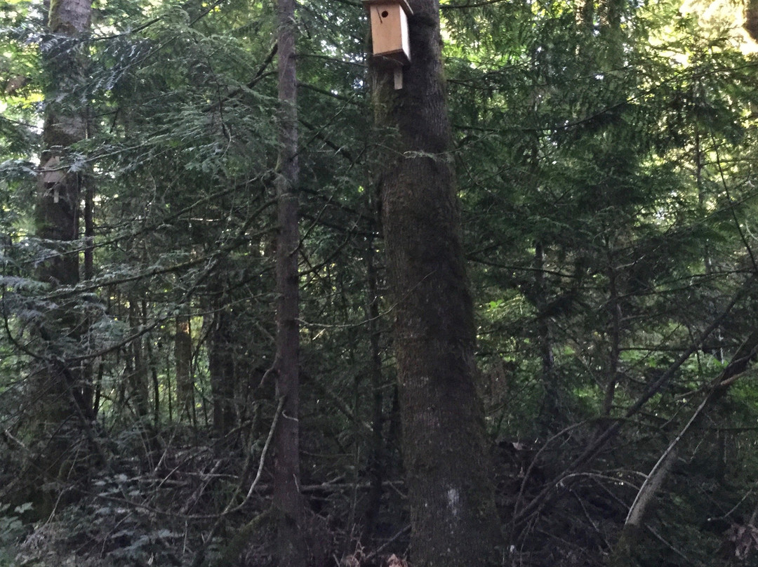 Spirit Trail Walk-哈里逊温泉必去景点