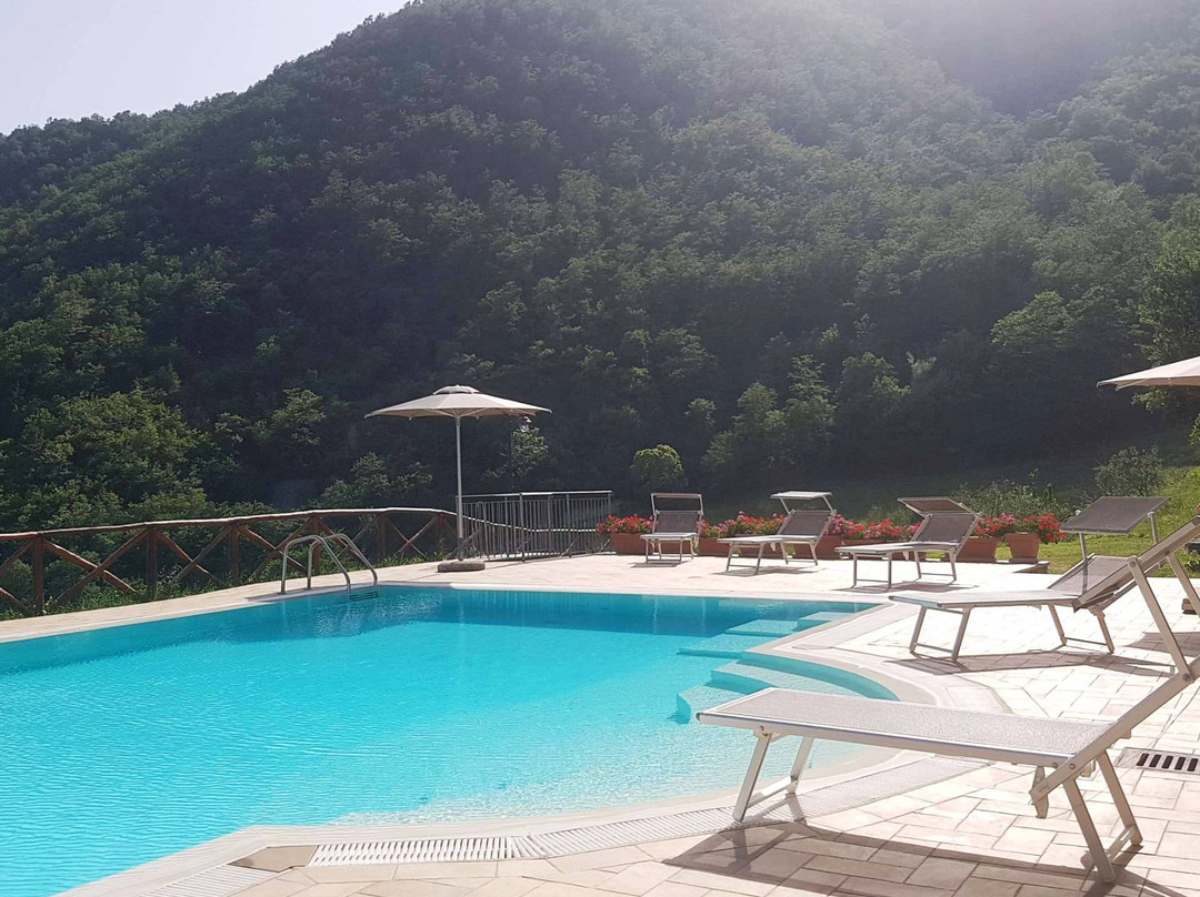 Il Castiglione Agriturismo Bio主图
