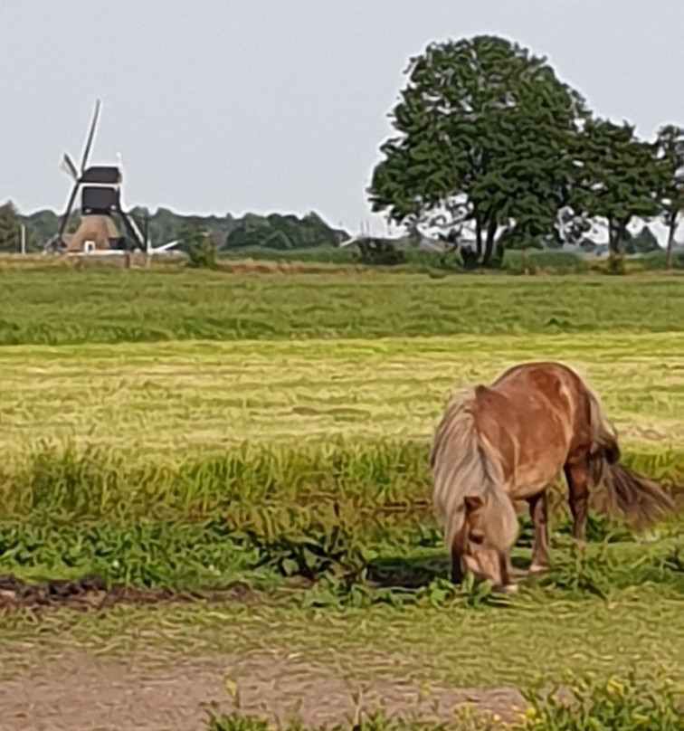 Camping de Landhoeve Lekkerland Lekdij主图
