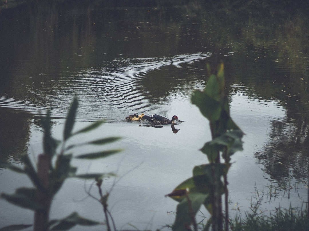 Botanical Garden of Lajeado-Lajeado必去景点