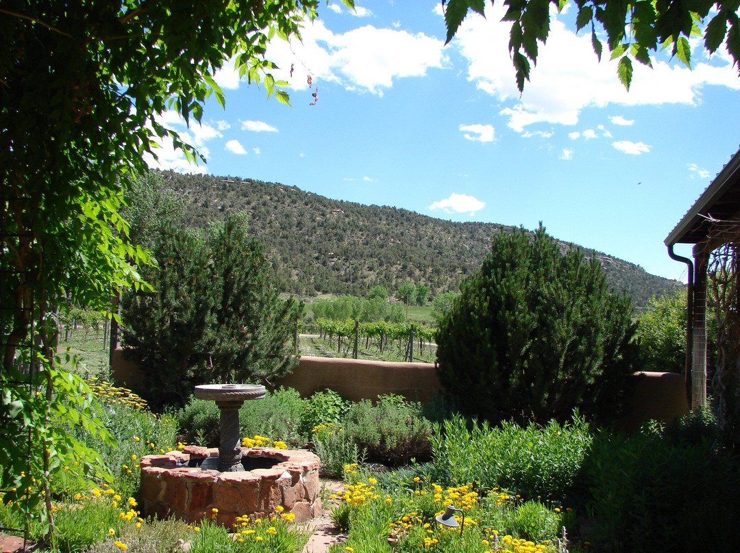 Guy Drew Winery-科尔特斯必去景点