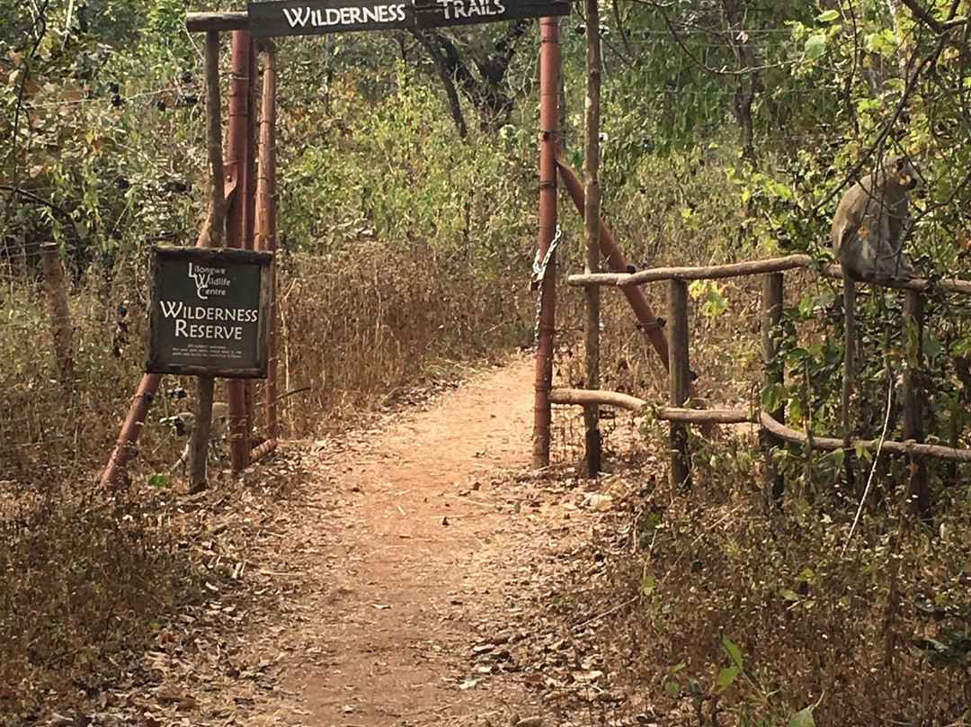 Lilongwe Wildlife Centre景点图片