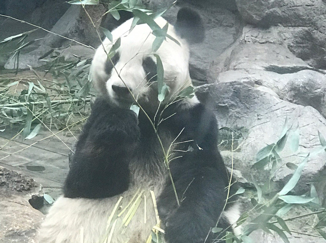 北京濒危动物中心-北京市必去景点