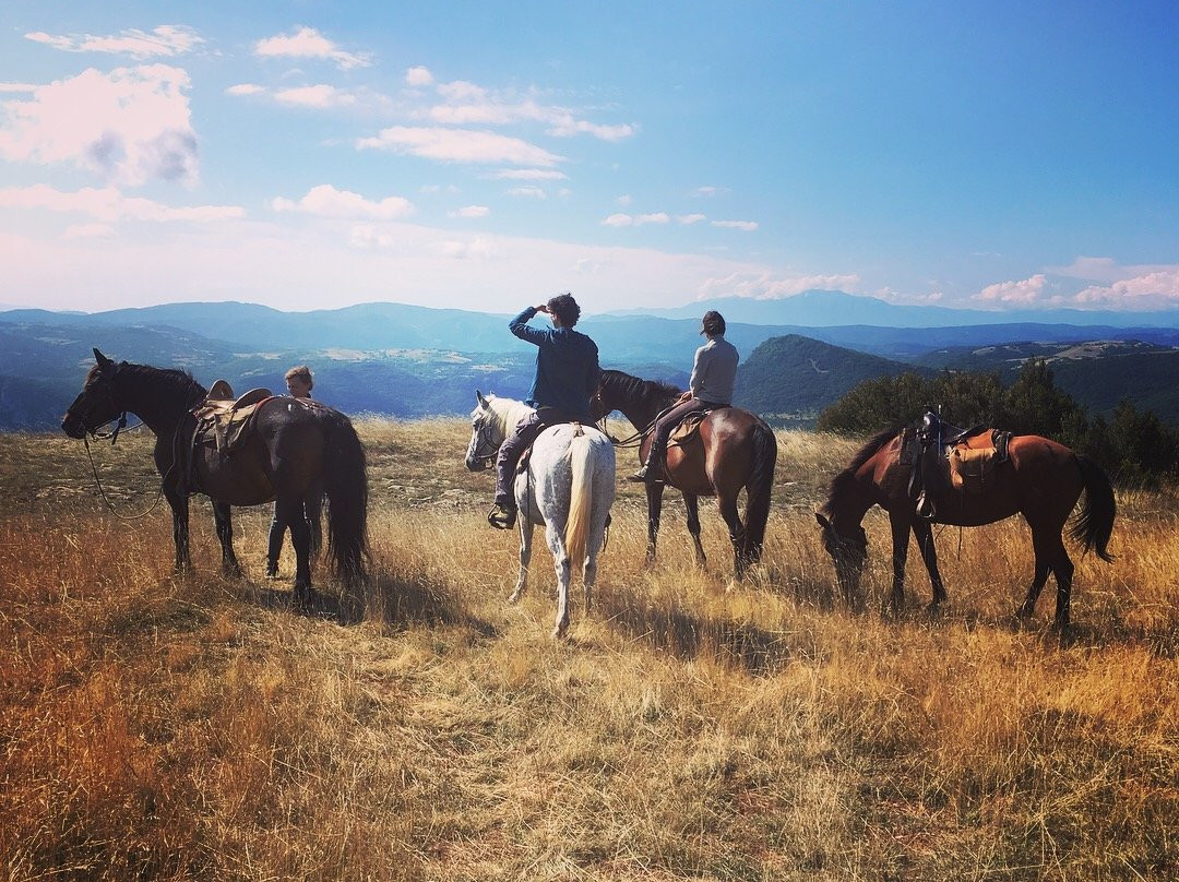 Ferme Equestre Le Plô-Montlaur必去景点