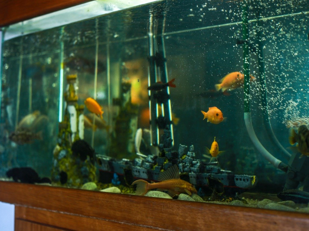 Pousada Bella Mar主图