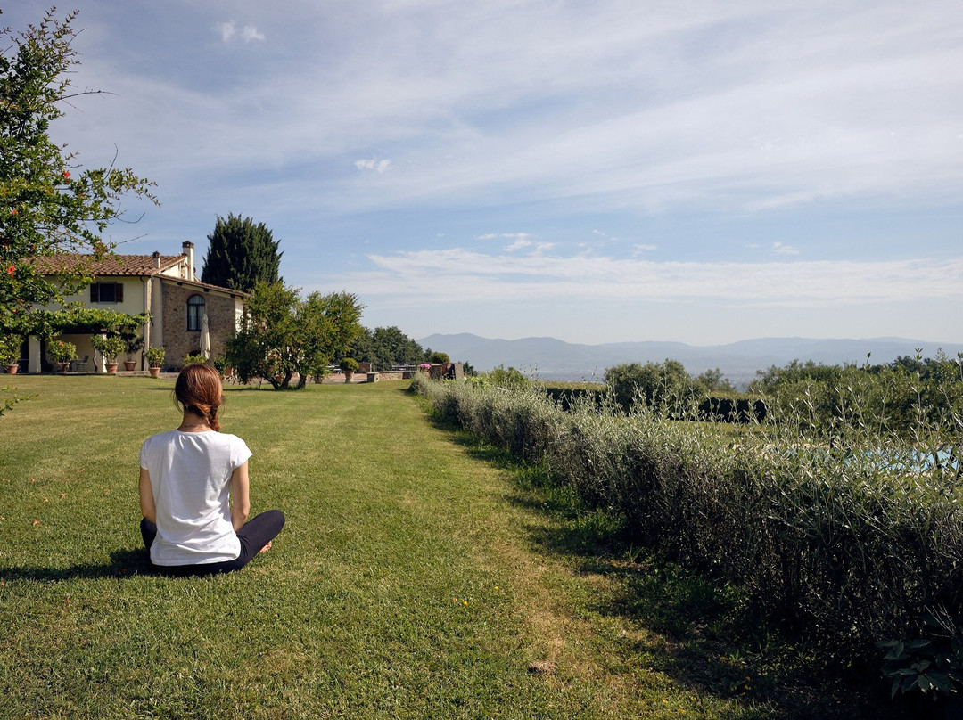 Tenuta Le Viste主图