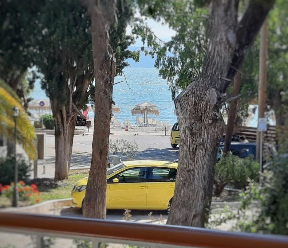 Vasilis Studios主图