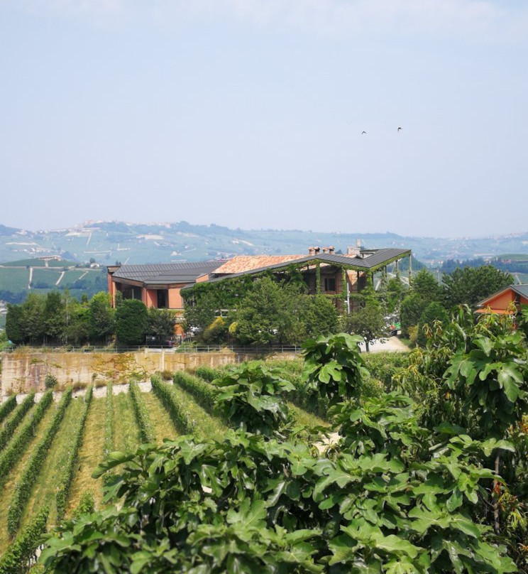 Cantina Luigi Pira景点图片