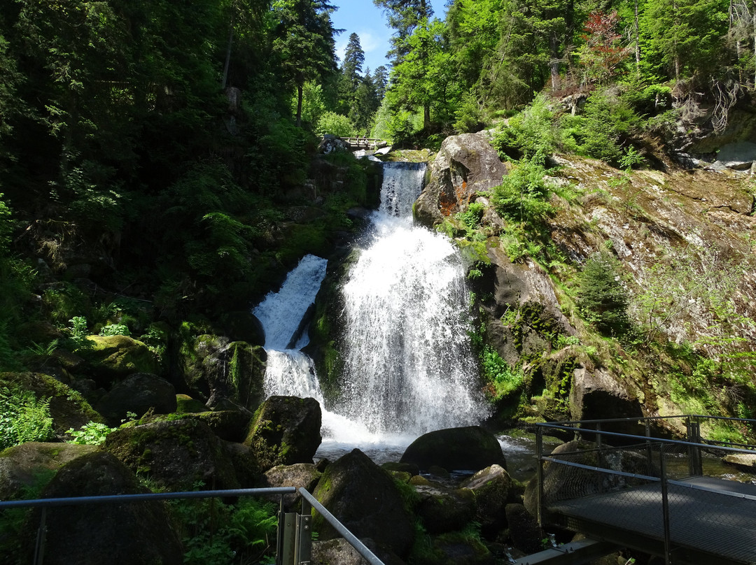 Triberger Waterfall景点图片