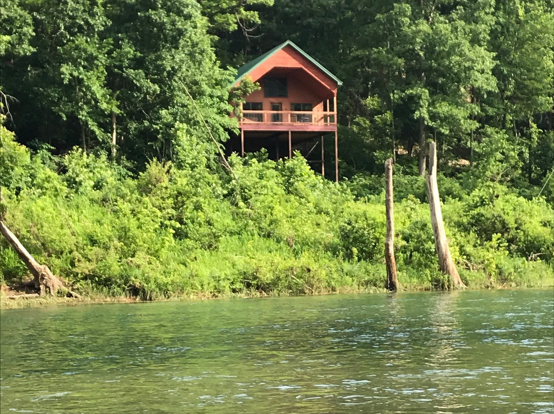 Tree House Cabins at River of Life Farm主图