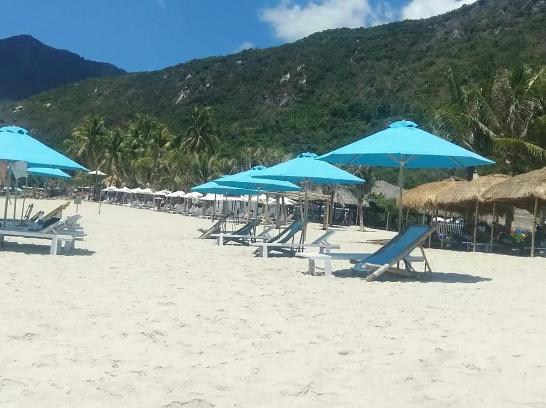 Jungle Beach VietNam主图