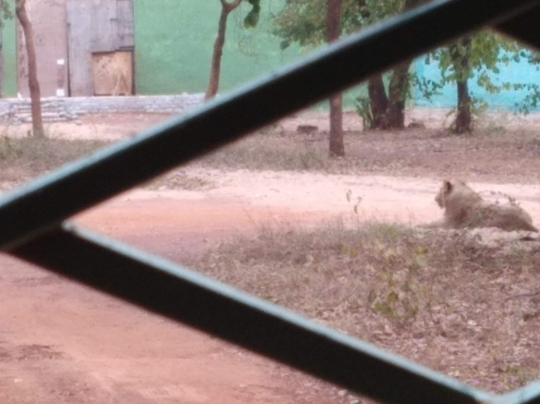 Nandan Van Zoo & Safari景点图片