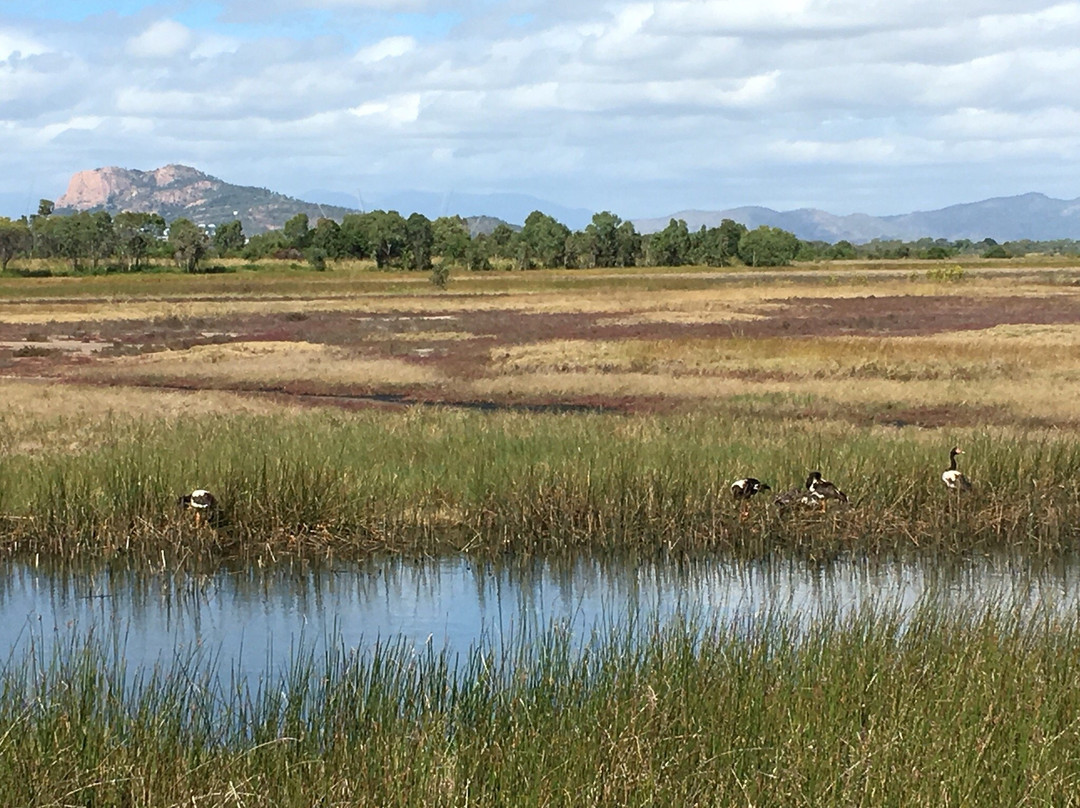Townsville Town Common Conservation Park-汤斯维尔必去景点