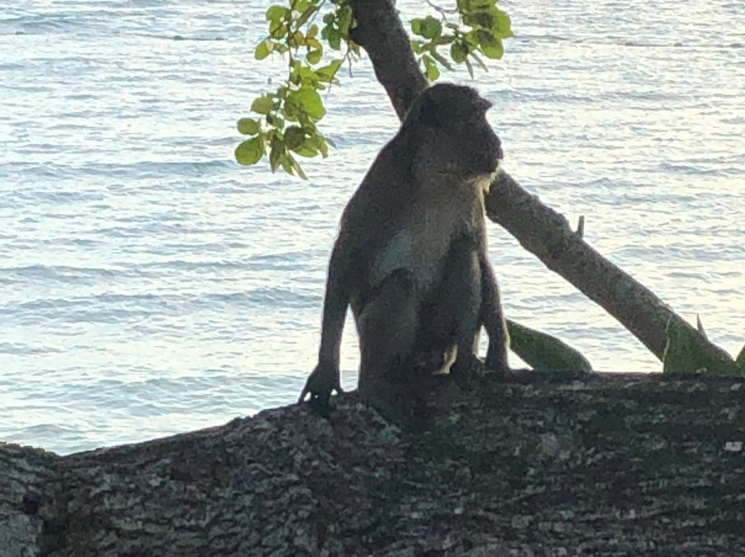 艾力克赛尔度假村主图