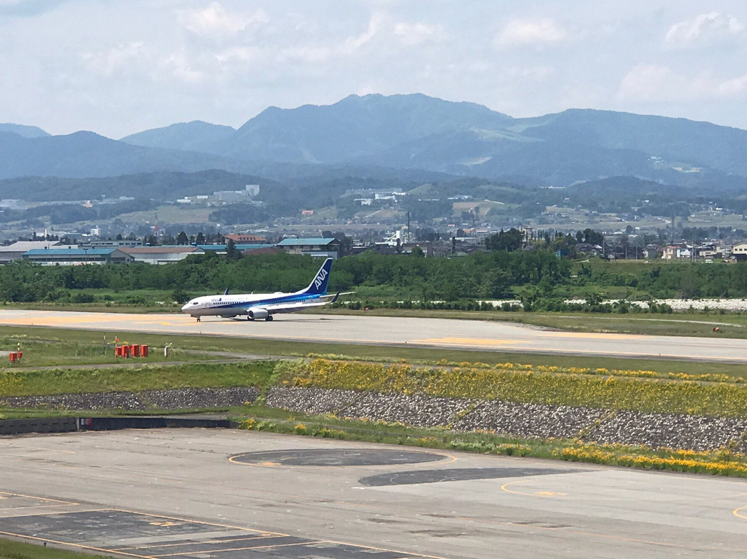 Toyama Airport Lookout Deck景点图片