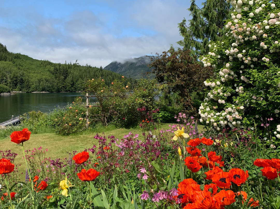 Custom Coastal Charters-Roche Harbor必去景点