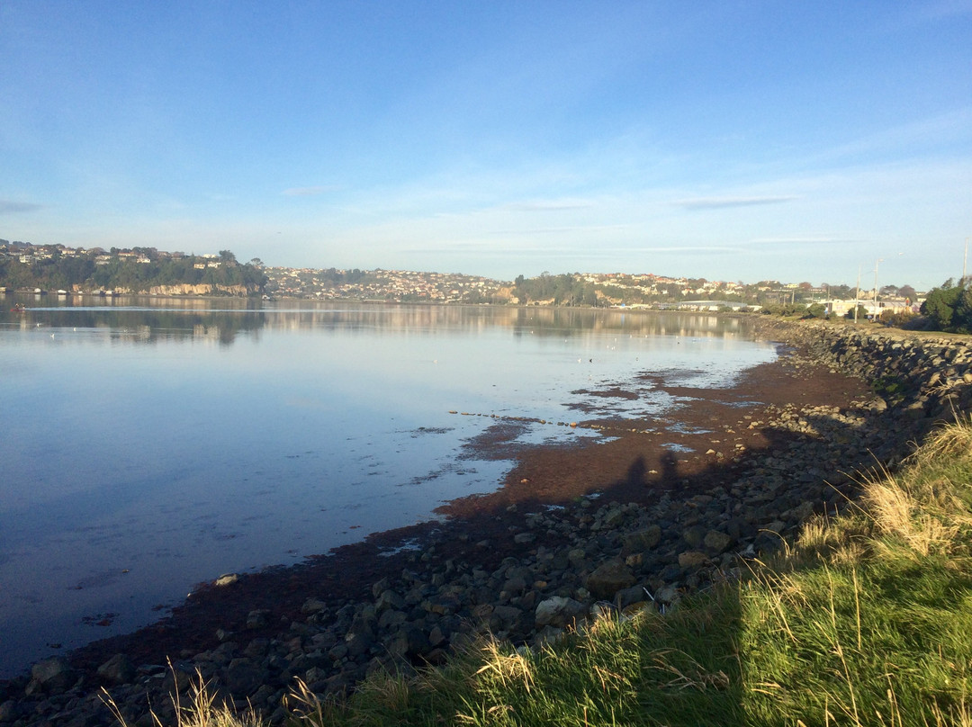 Harbour Molars-但尼丁必去景点