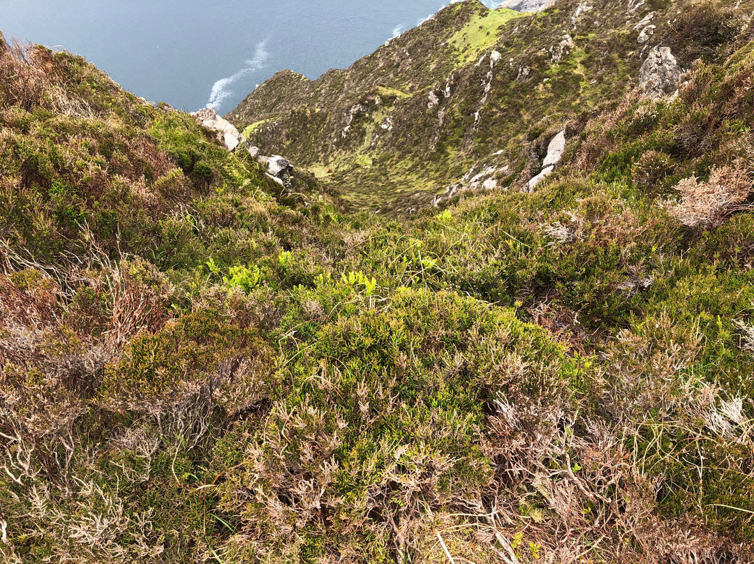 Cliffs of Bunglas景点图片