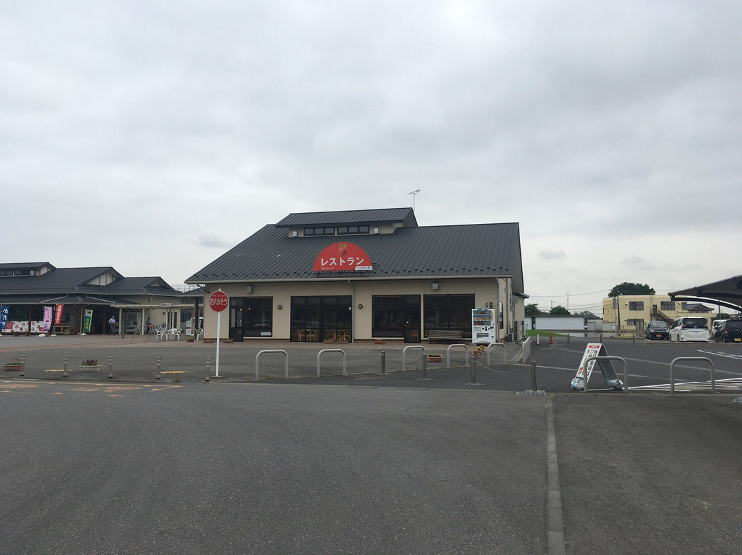 Michi No Eki Nishikata-栃木市必去景点