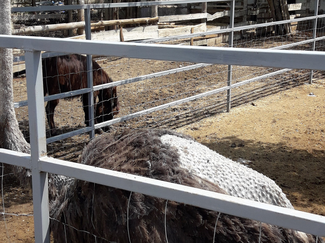 Ethno Park New Vasyuki-Molodizhne必去景点