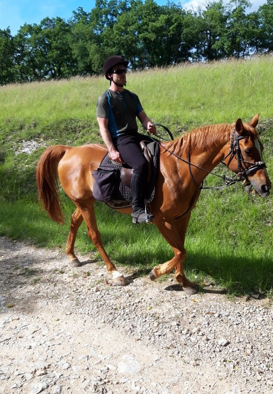 Chevaux des Bastides景点图片