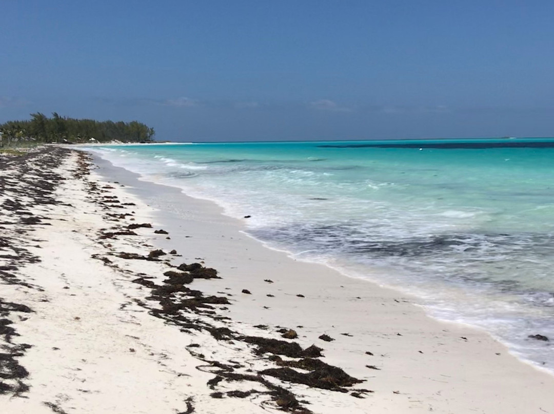 Carriearl Boutique Hotel主图