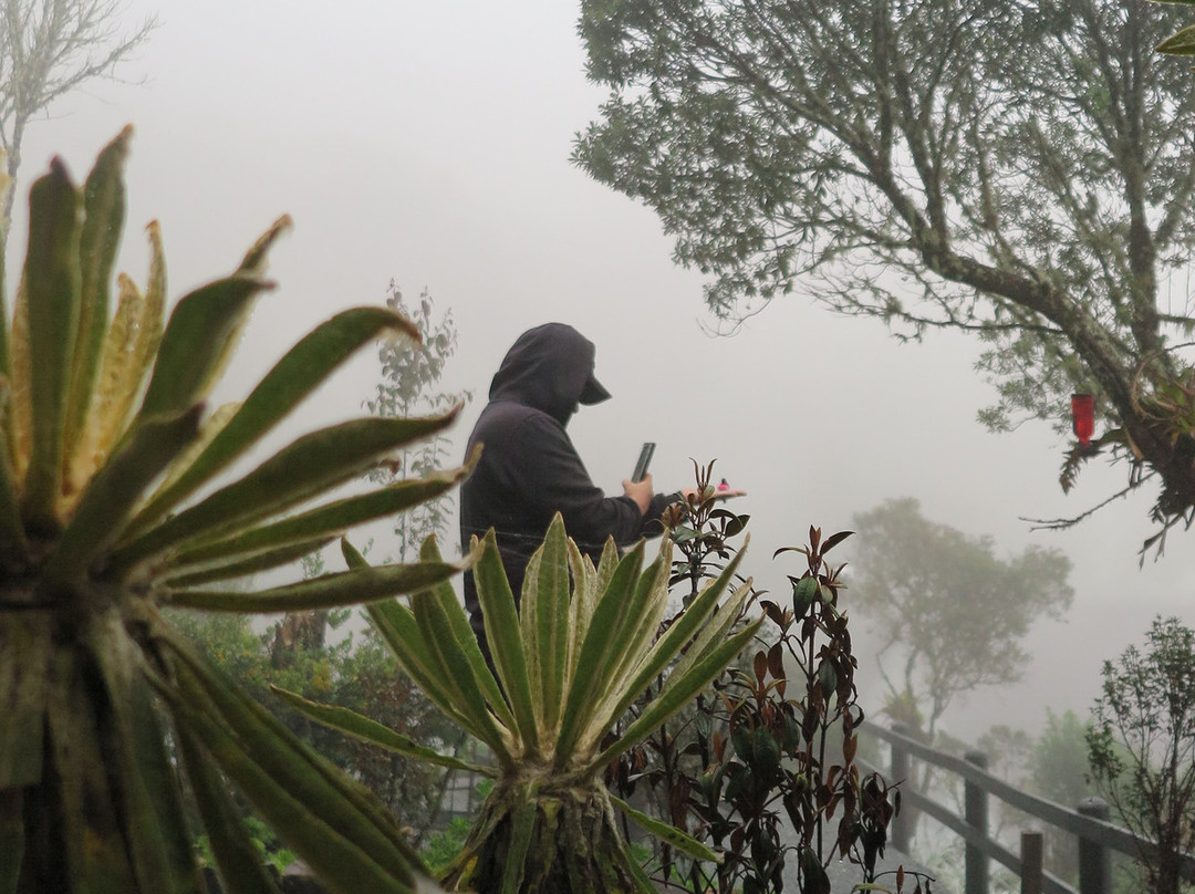 Hotel Termales Del Ruiz主图