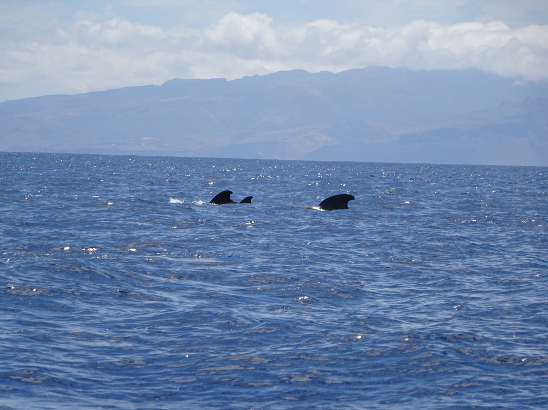Canaventura - Private Day Tours-Guimar必去景点