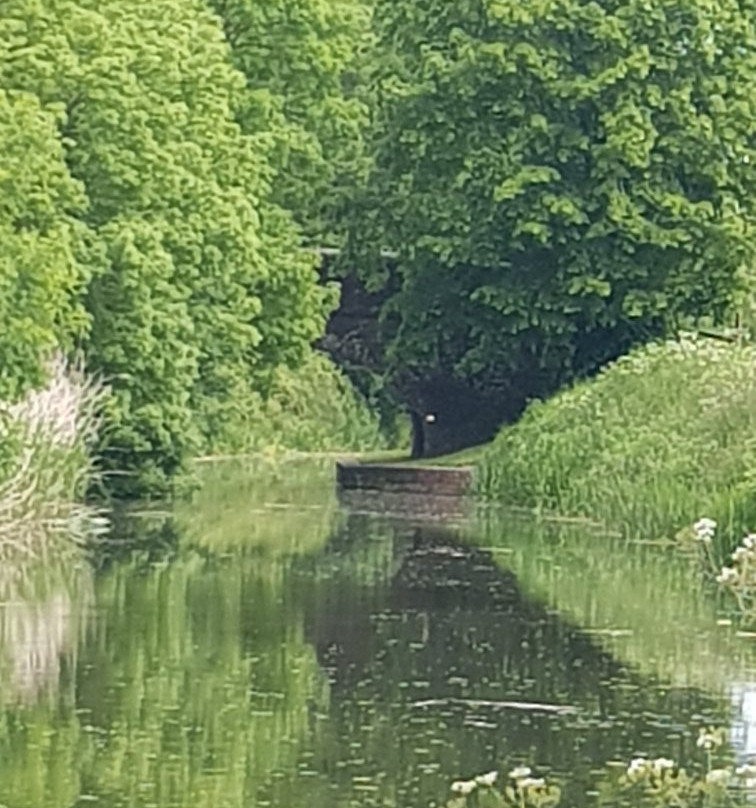 Somerset Towpath-汤顿必去景点