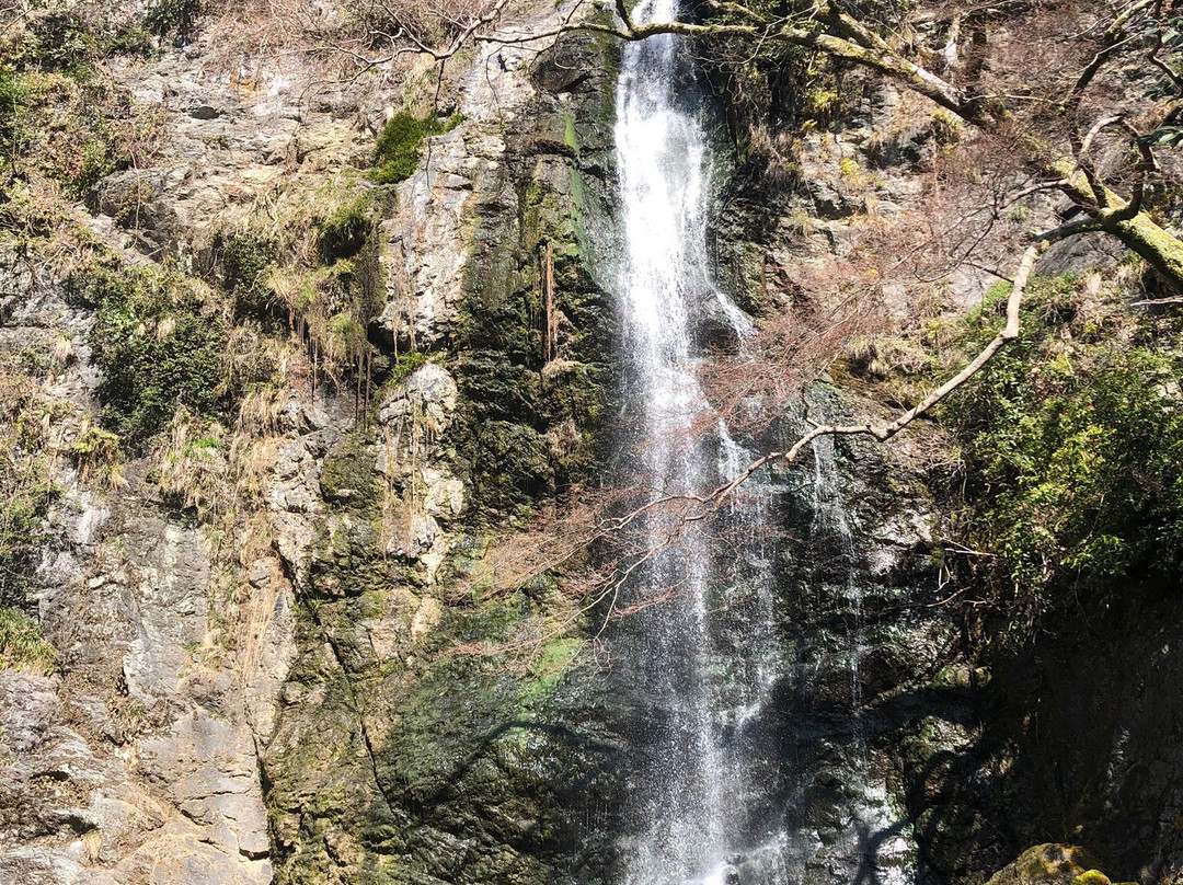 Waterfall of Mino景点图片