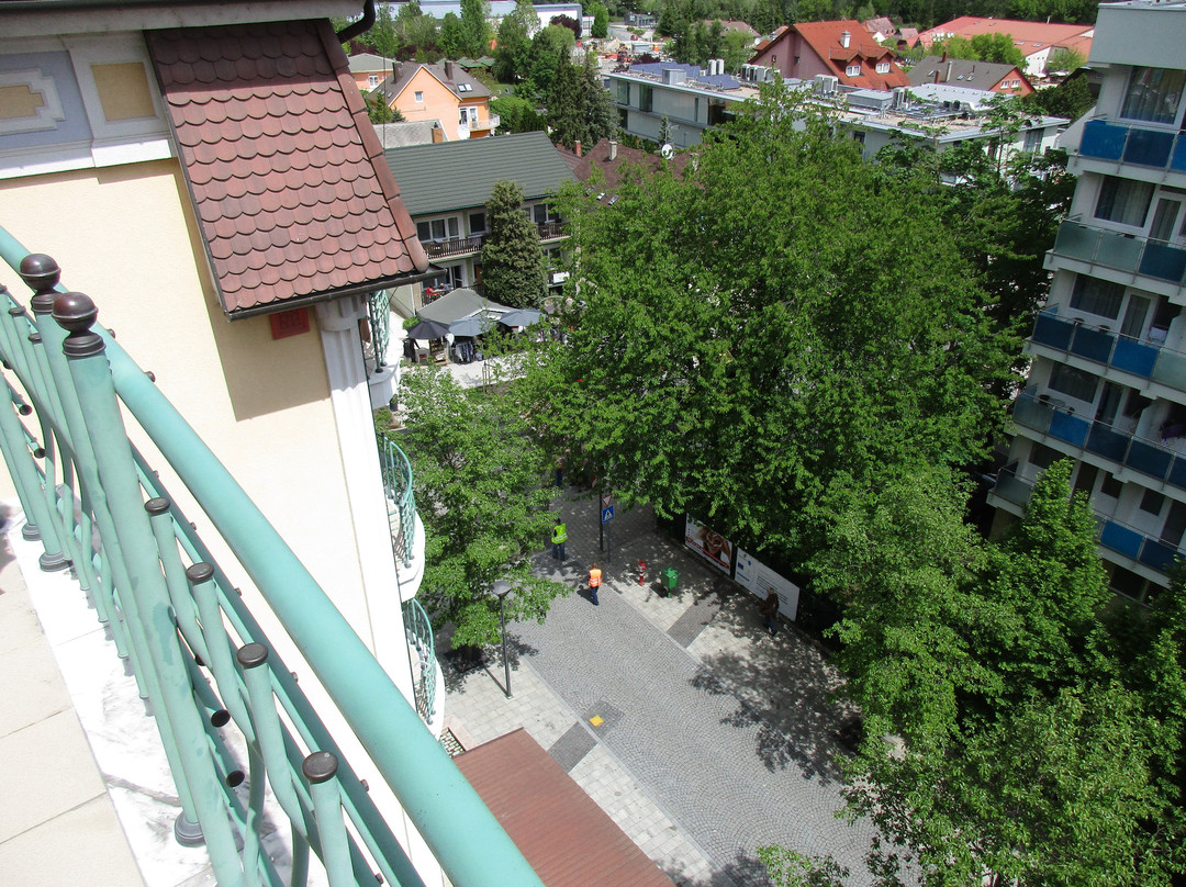 哈维兹宫殿酒店主图