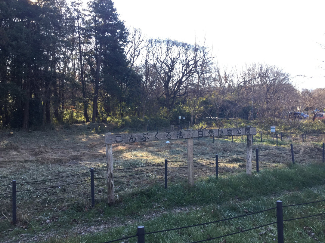 Kombukuro Pond Natural History Park-柏市必去景点