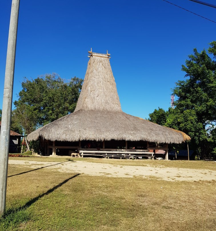 Prailiu Kampung Raja Village景点图片