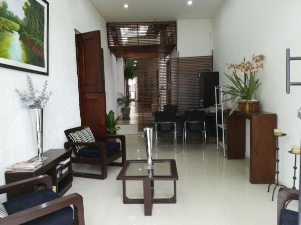 Mi Bella Santa Cruz主图