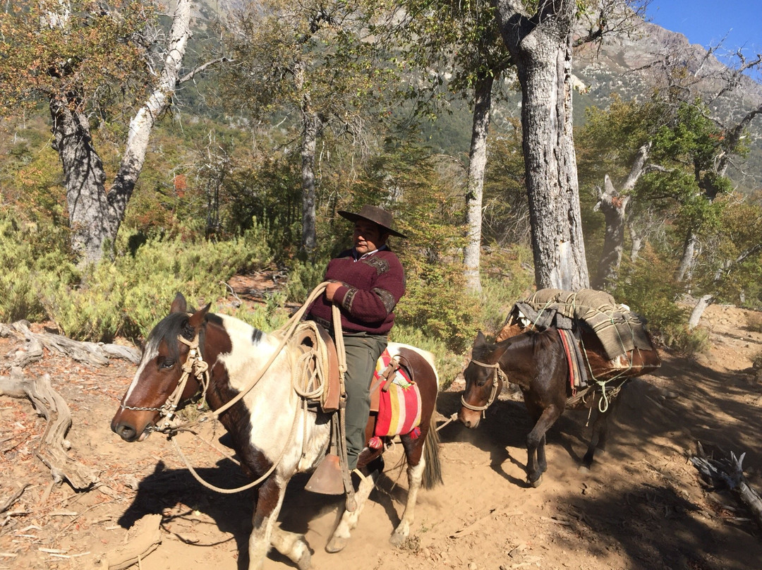 Vilches Alto-San Clemente必去景点