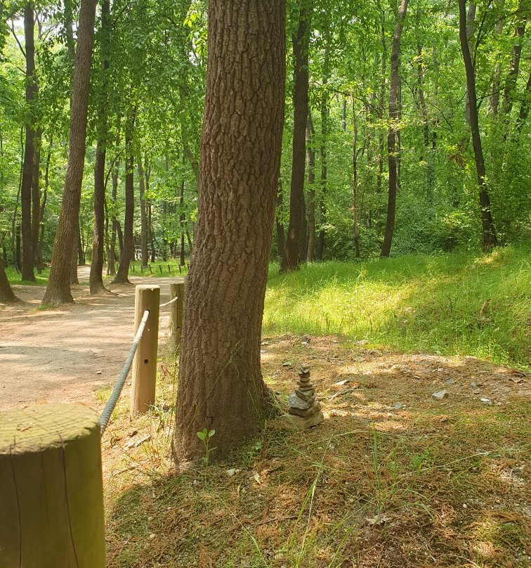 Yungneung Royal Tomb & Geolleung Royal Tomb-华城市必去景点